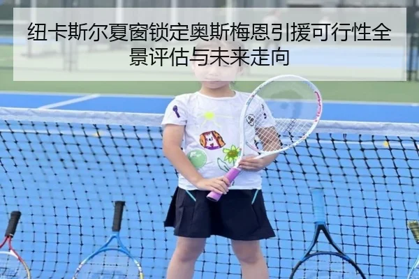 纽卡斯尔夏窗锁定奥斯梅恩引援可行性全景评估与未来走向